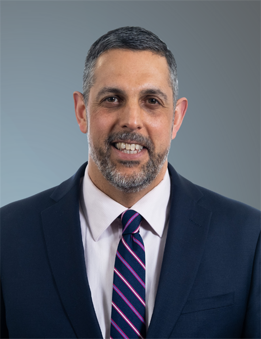 Krishna Burra Portrait