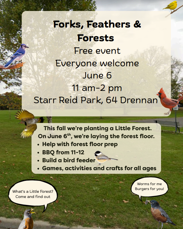 Little Forest Event