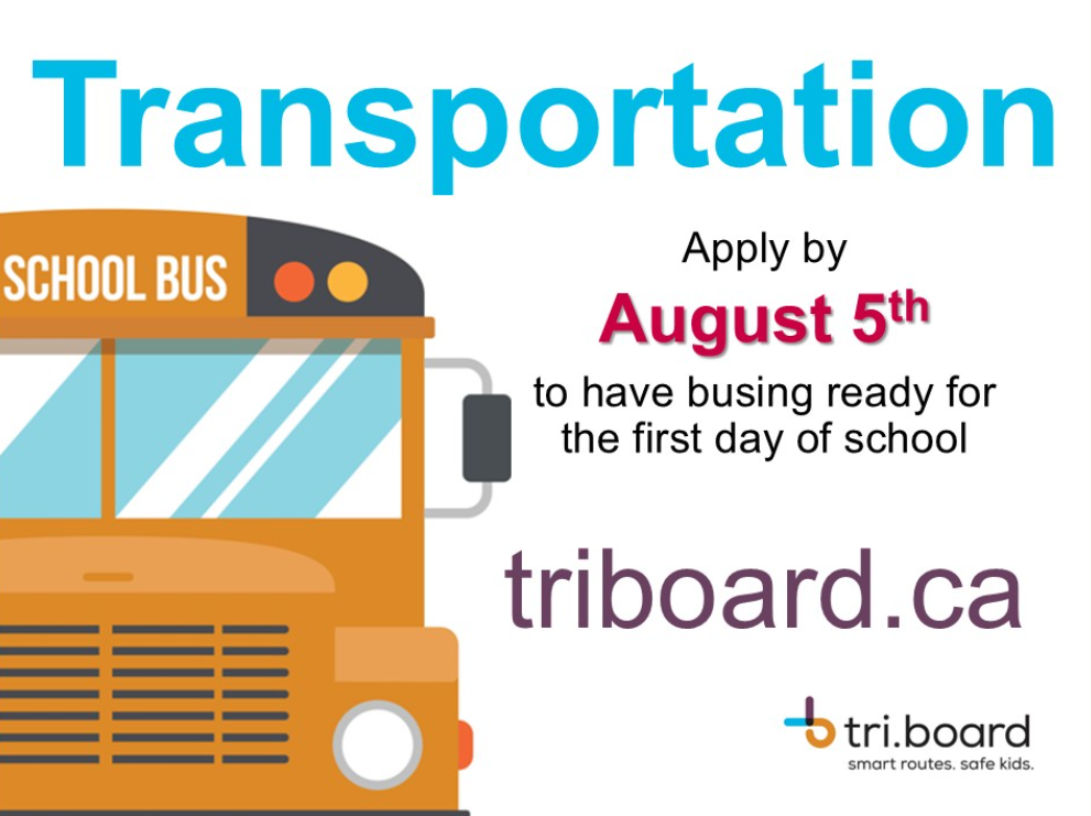 Screenshot 2026 02 15 195103