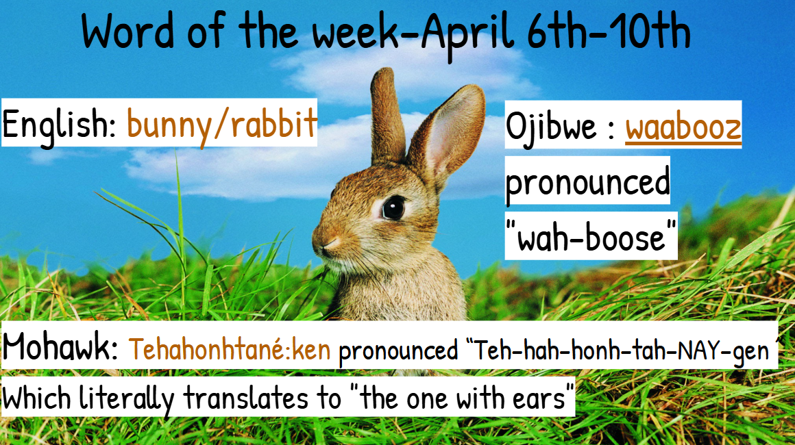 Screenshot 2026 04 06 103530