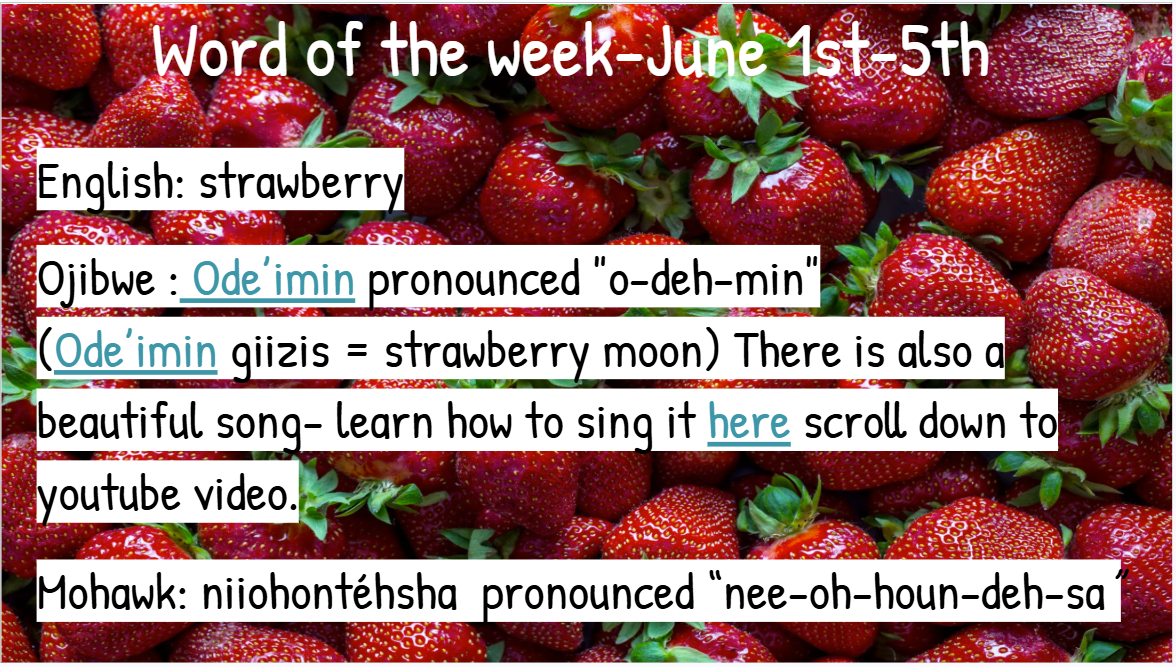 Word June 1st (1)