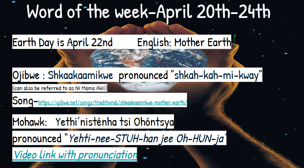 Screenshot 2026 04 19 205855