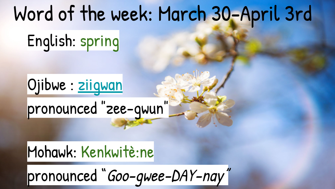 Screenshot 2026 03 29 151521